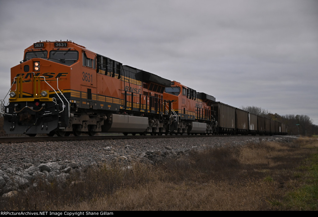 BNSF 3631